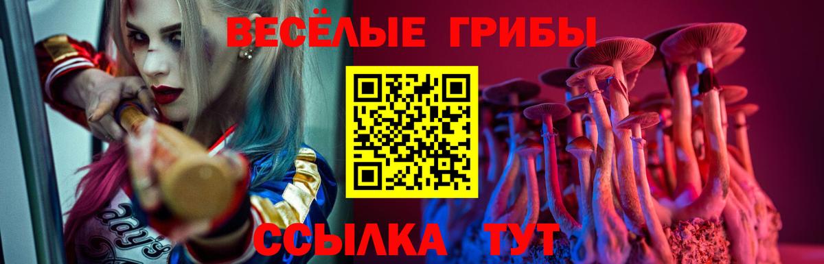 Галлюциногенные грибы прущие грибы Полысаево