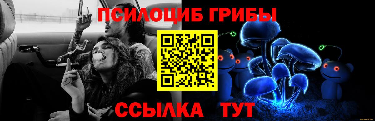 Псилоцибиновые грибы мухоморы  Вход с VPN  Галлюциногенные грибы MAGIC MUSHROOMS  Полысаево 